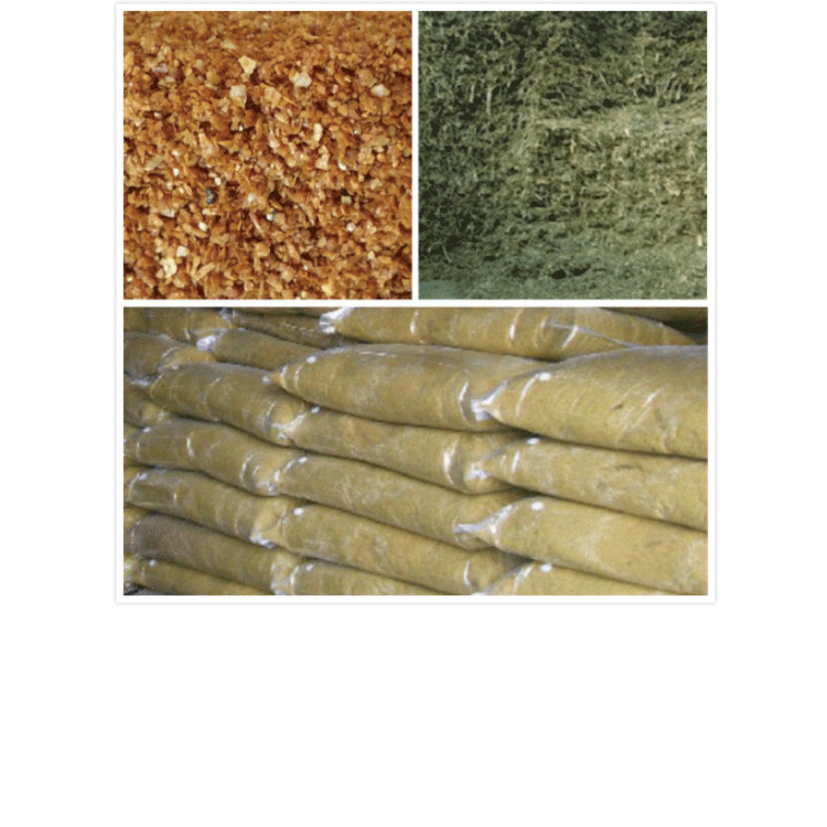 1503039250914244.png 未標題-1.png