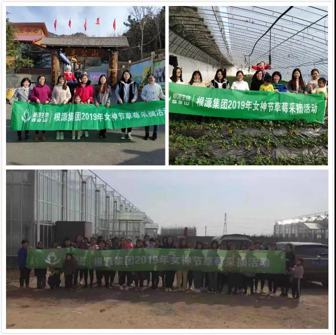 1554261520656663.jpg 1.jpg