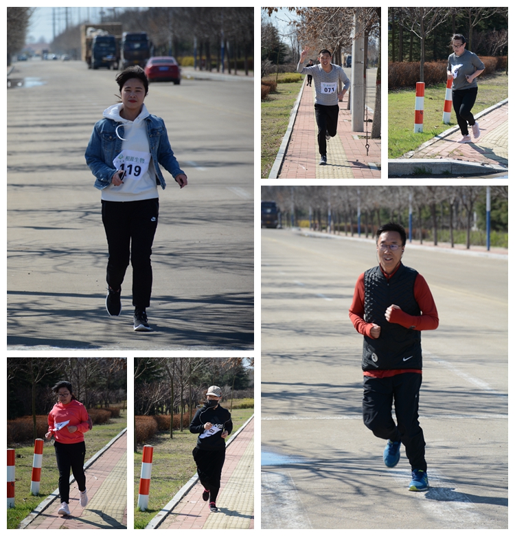 1554263331386967.jpg 光影魔術(shù)手拼圖2.jpg