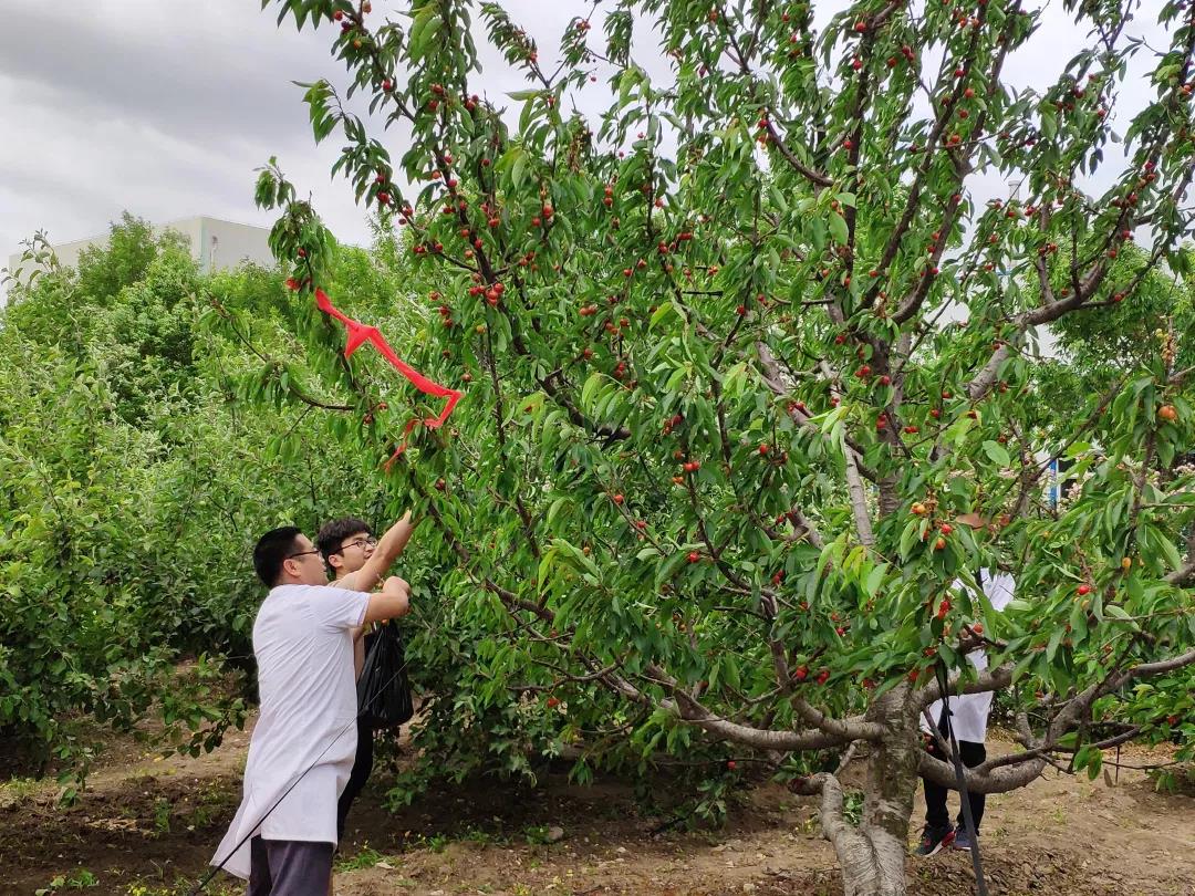 1562119722350007.jpg 6.jpg