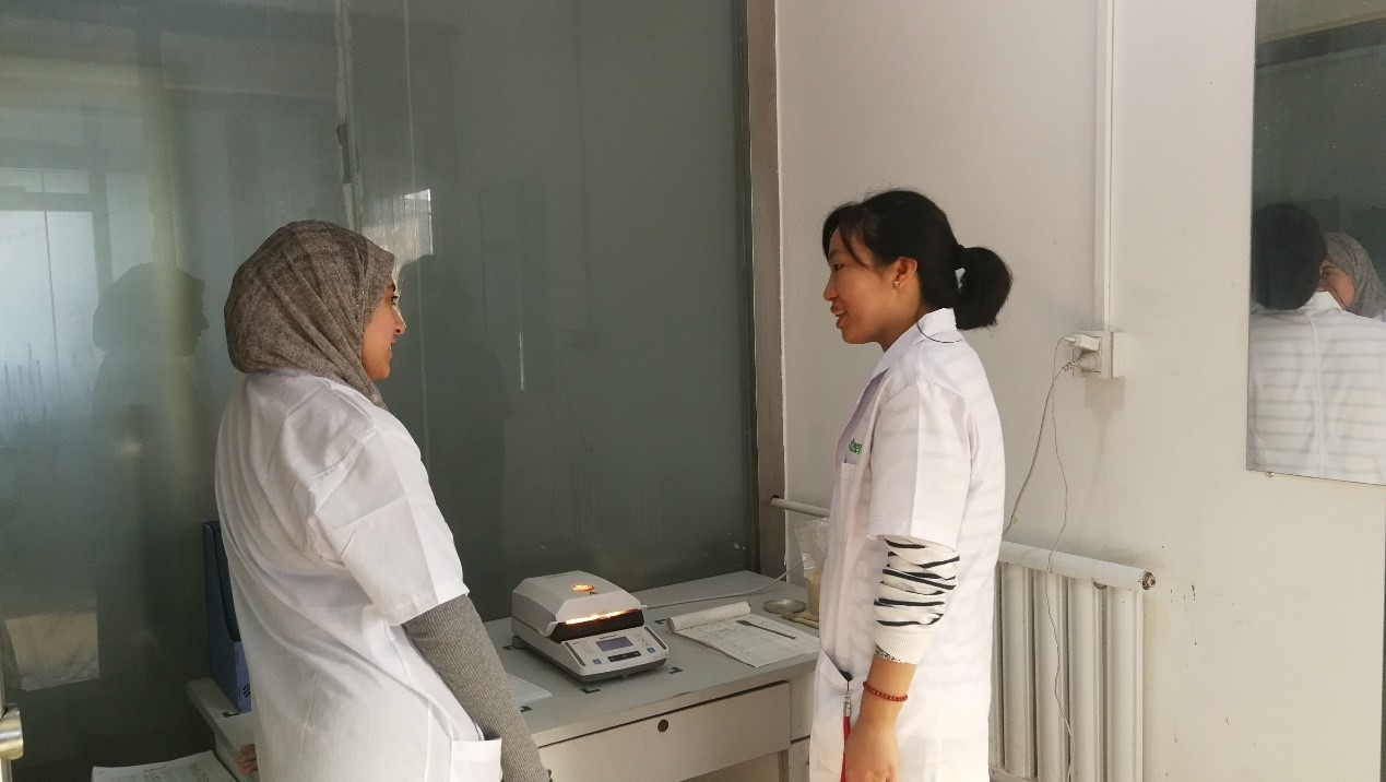 1572486385235592.jpg 3.jpg