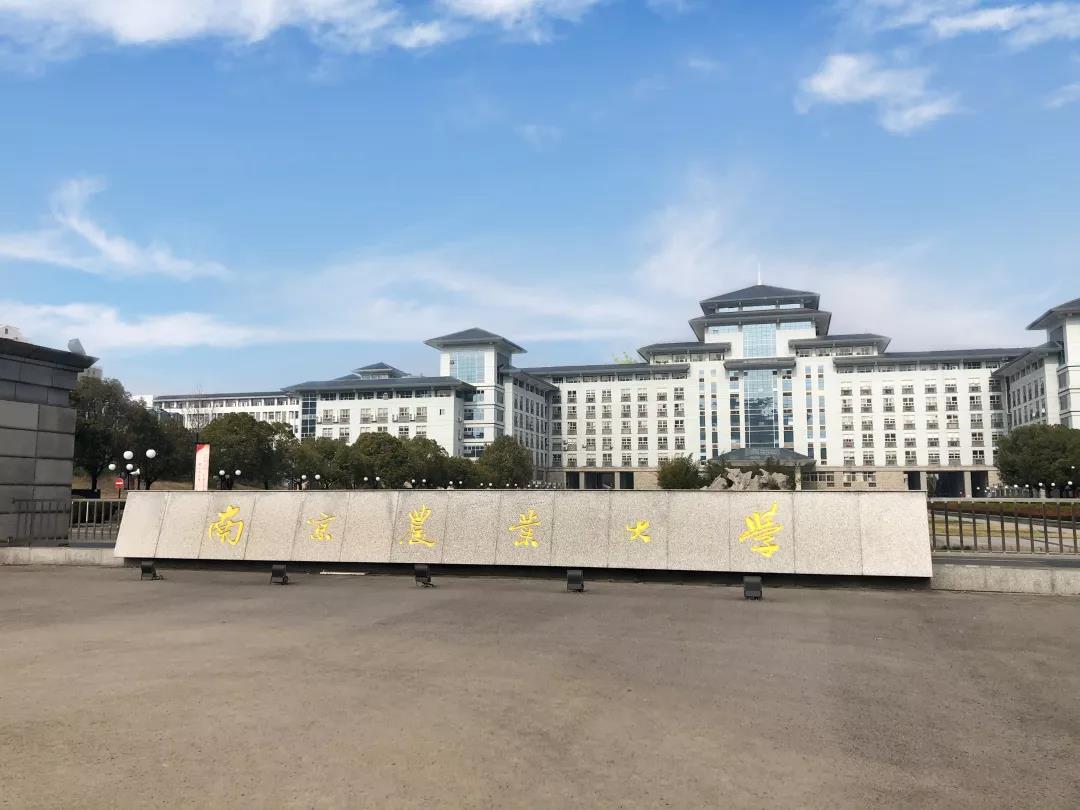 1580804170762585.jpg 2.jpg