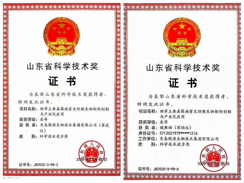 1618448524164435.jpg NeoImage_副本.jpg