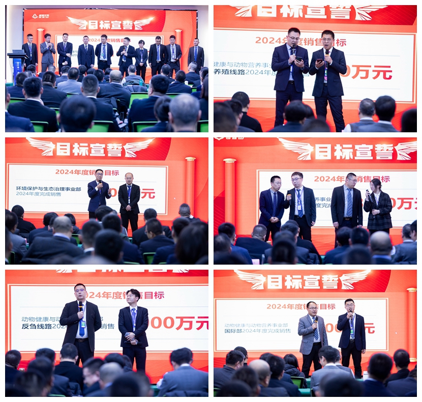 1706498469874754.jpg 10.jpg